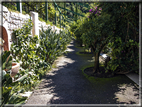 foto Giardini Trauttmansdorff - Giardini del Sole